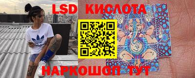 прущие крисы Будённовск