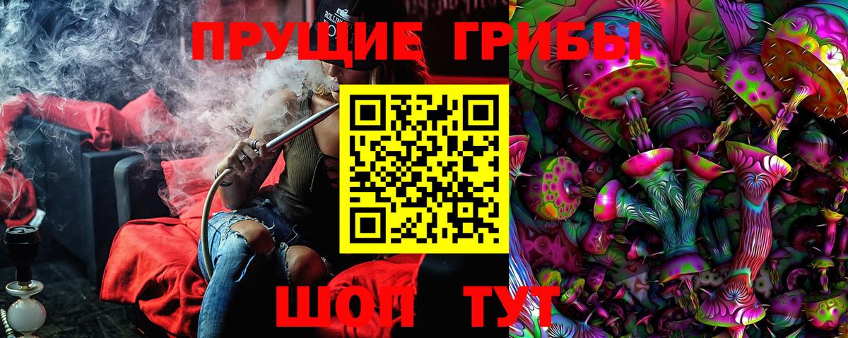 Галлюциногенные грибы Psilocybine cubensis Кореновск