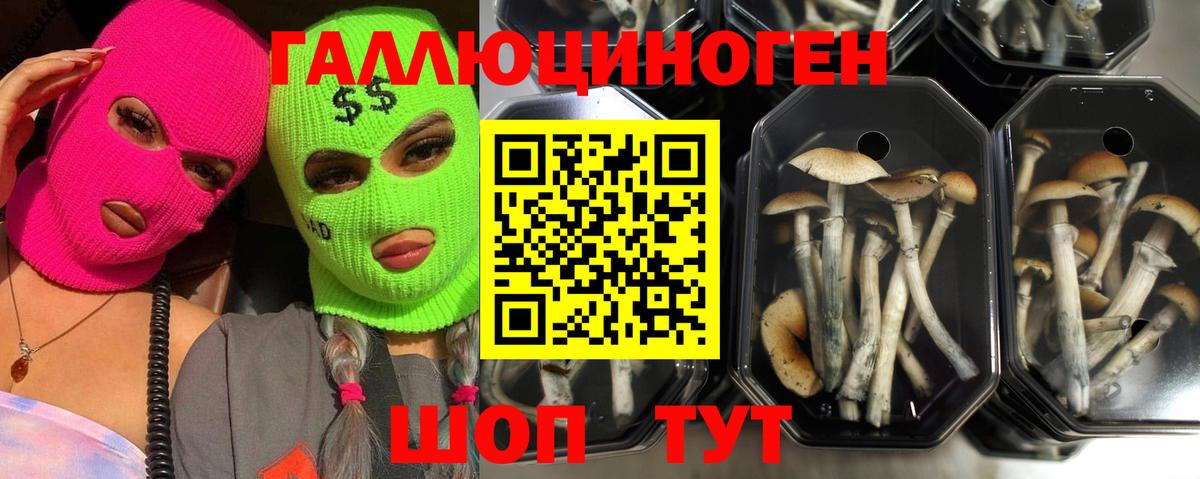 Кореновск  Псилоцибиновые грибы мухоморы  Галлюциногенные грибы ЛСД  Вход с VPN 